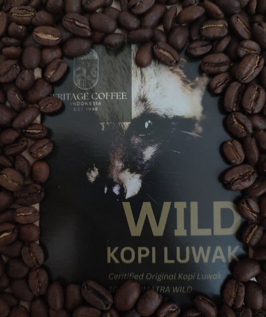 Kopi Luwak 100g